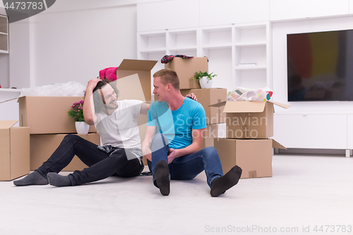 Image of young  gay couple moving  in new house