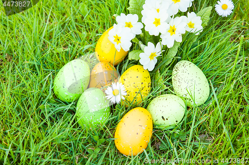 Image of colored Easter eggs hidden in flowers and grass