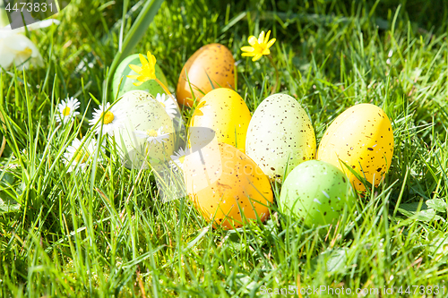 Image of colored Easter eggs hidden in flowers and grass