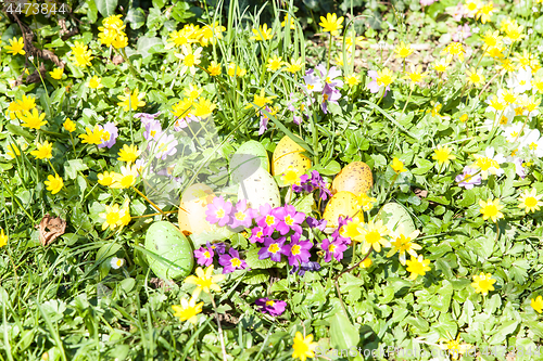 Image of colored Easter eggs hidden in flowers and grass