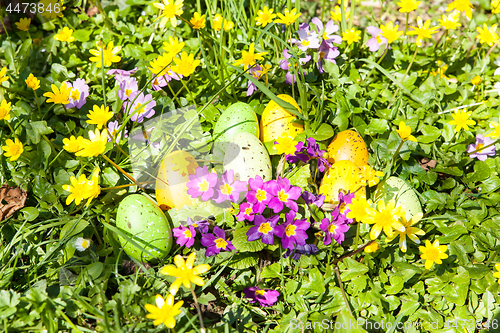 Image of colored Easter eggs hidden in flowers and grass