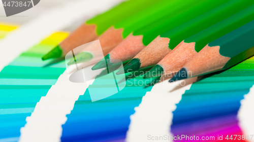 Image of green colored pencils and color chart of all colors