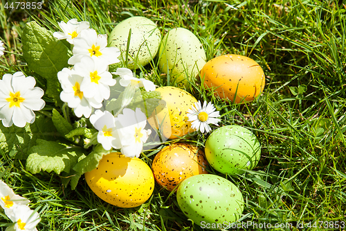 Image of colored Easter eggs hidden in flowers and grass