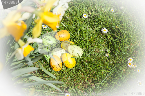 Image of colored Easter eggs hidden in flowers and grass