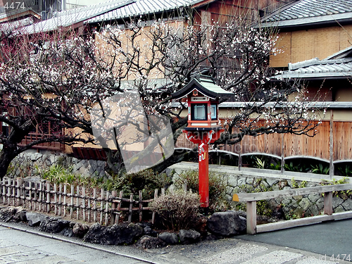 Image of Gion Lantern In Spring