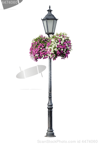 Image of Lamppost with hanging flowers, isolated