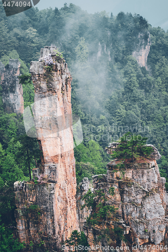 Image of Zhangjiajie mountains, China