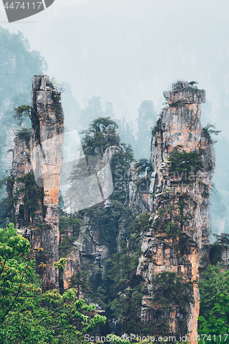 Image of Zhangjiajie mountains, China