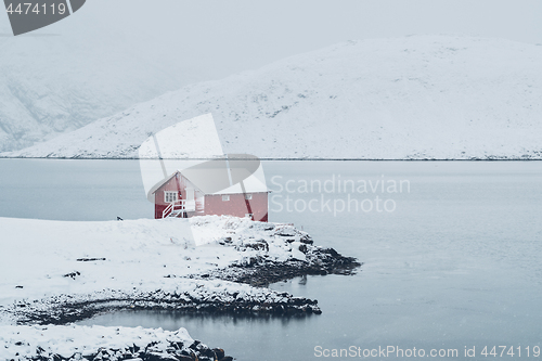 Image of Red rorbu house in winter, Lofoten islands, Norway