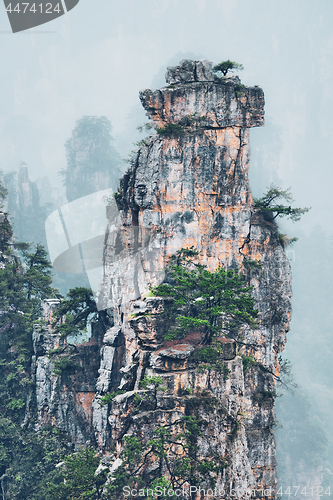 Image of Zhangjiajie mountains, China