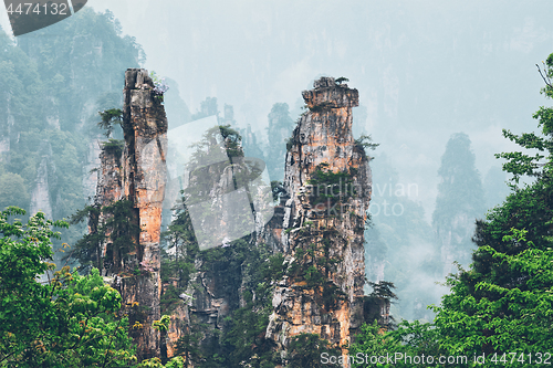 Image of Zhangjiajie mountains, China