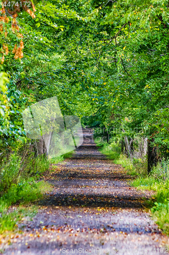 Image of Nature Path