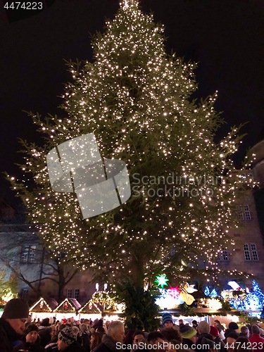 Image of People are enjoying the Christmas market with a large Christmas tree