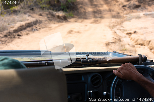 Image of Safari guide driving with his rifle in the bush of South Africa