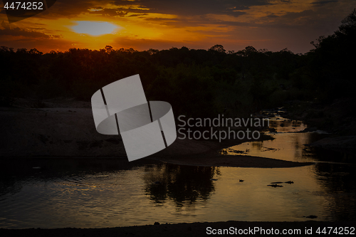Image of Beautiful sunset with hippos in the river
