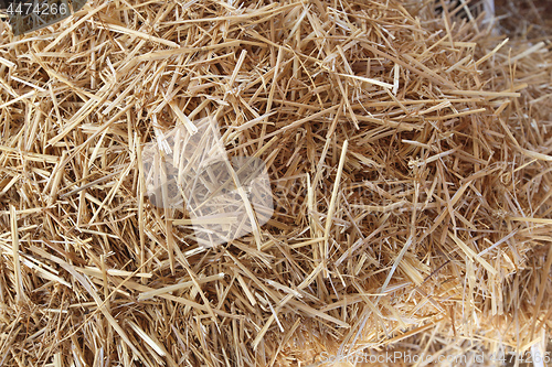 Image of Straw Hay
