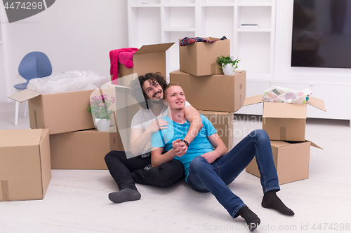 Image of young  gay couple moving  in new house