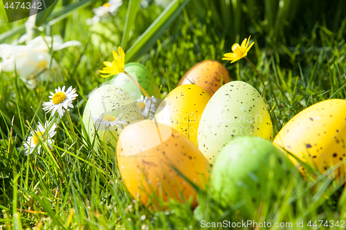 Image of colored Easter eggs hidden in flowers and grass