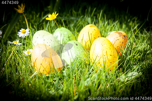Image of colored Easter eggs hidden in flowers and grass