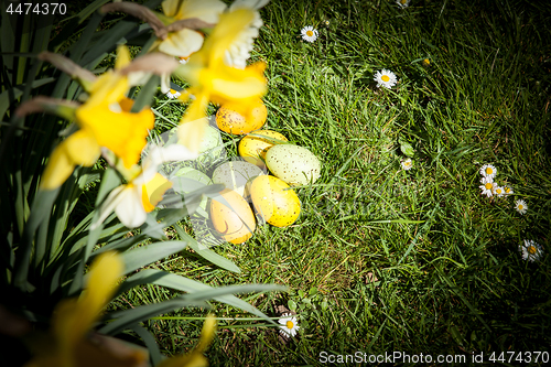 Image of colored Easter eggs hidden in flowers and grass