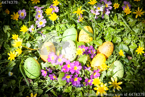 Image of colored Easter eggs hidden in flowers and grass
