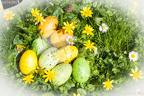 Image of colored Easter eggs hidden in flowers and grass
