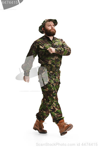 Image of Young army soldier wearing camouflage uniform isolated on white