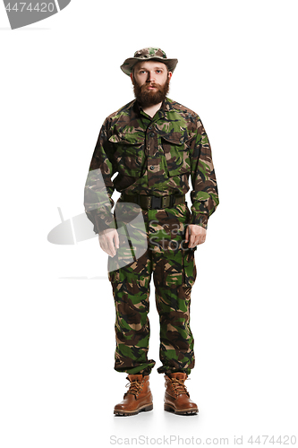 Image of Young army soldier wearing camouflage uniform isolated on white