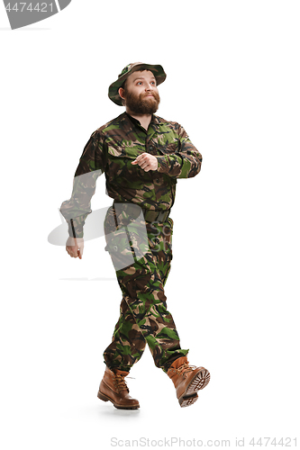 Image of Young army soldier wearing camouflage uniform isolated on white