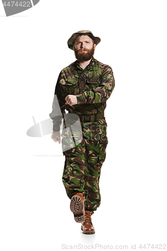 Image of Young army soldier wearing camouflage uniform isolated on white