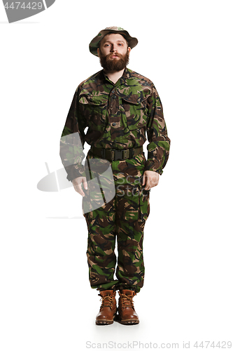 Image of Young army soldier wearing camouflage uniform isolated on white