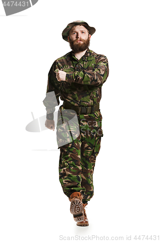 Image of Young army soldier wearing camouflage uniform isolated on white