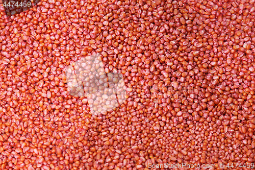 Image of Red Seeds