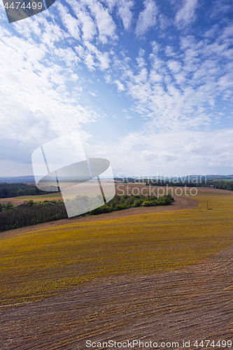 Image of Spring landscape with field, forest and sky