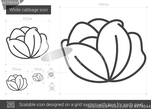 Image of White cabbage line icon.