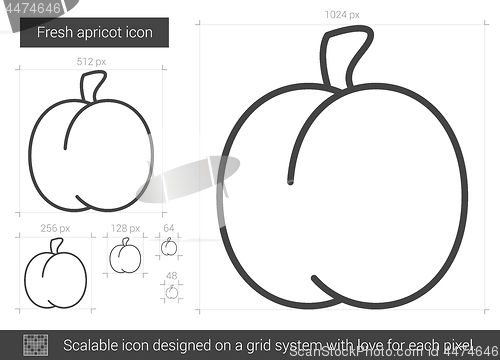 Image of Fresh apricot line icon.