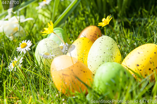 Image of colored Easter eggs hidden in flowers and grass