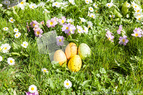 Image of colored Easter eggs hidden in flowers and grass