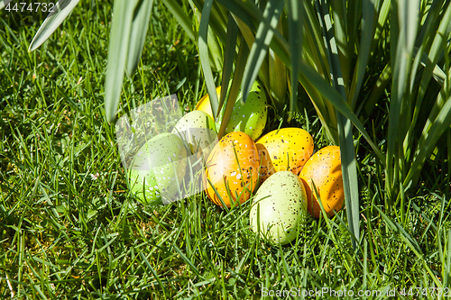 Image of colored Easter eggs hidden in flowers and grass