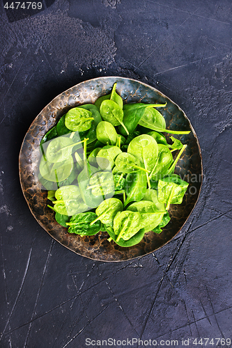 Image of spinach