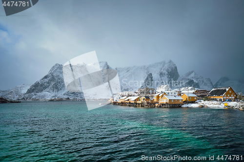 Image of Yellow rorbu houses, Lofoten islands, Norway