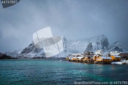 Image of Yellow rorbu houses, Lofoten islands, Norway