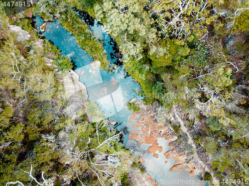 Image of High above the trees looking down on fresh water rock pools