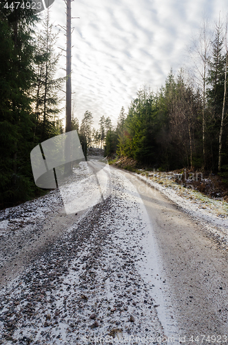 Image of Snowy gravel road in the woods