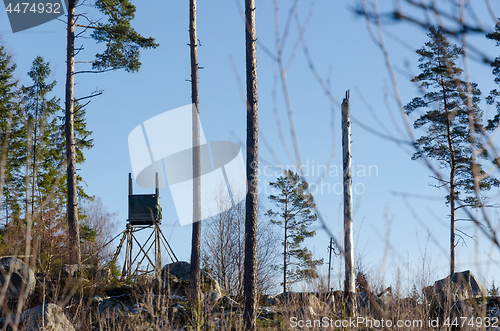 Image of Hunting tower in the woods