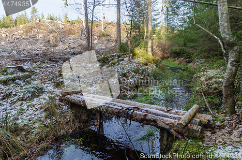 Image of Bridge made of logs in the wilderness