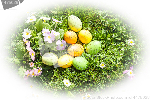 Image of colored Easter eggs hidden in flowers and grass