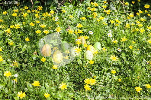 Image of colored Easter eggs hidden in flowers and grass