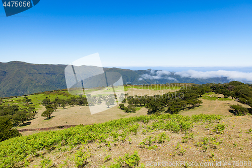 Image of madeira mountain landscape under a blue sky