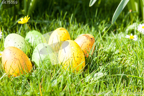 Image of colored Easter eggs hidden in flowers and grass